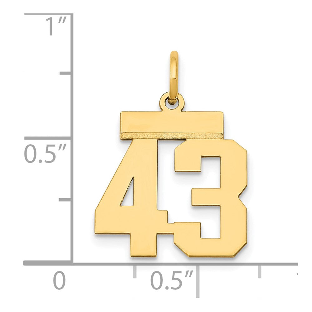 14k Small Polished Number 43 Charm