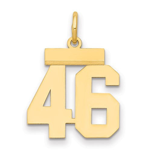 14k Small Polished Number 46 Charm