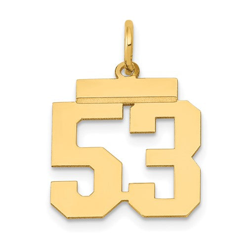 14k Small Polished Number 53 Charm