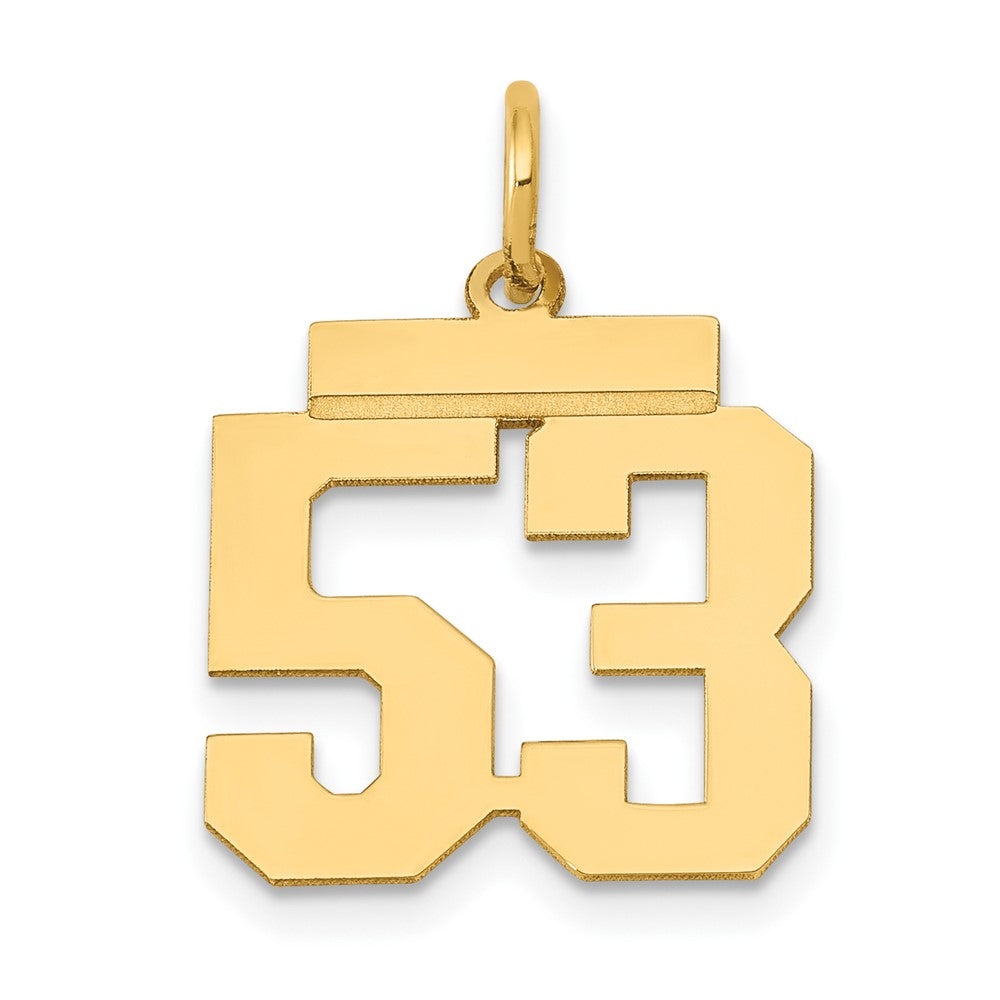 14k Small Polished Number 53 Charm