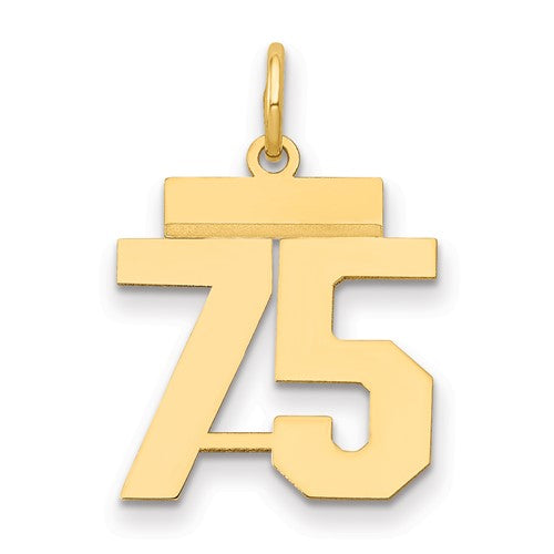 14k Small Polished Number 75 Charm