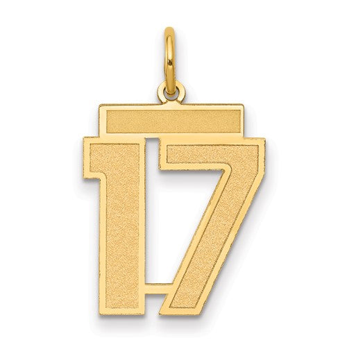 10k Medium Satin Number 17 Charm