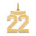 10k Medium Satin Number 22 Charm