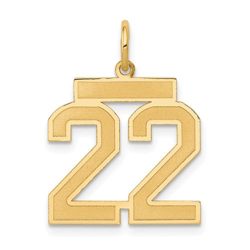 10k Medium Satin Number 22 Charm