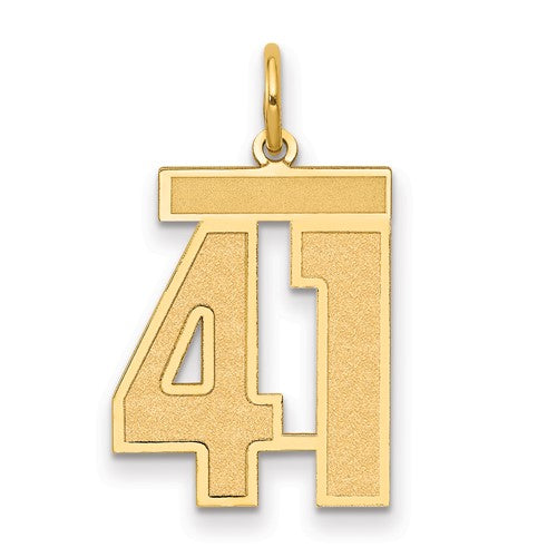 10k Medium Satin Number 41 Charm