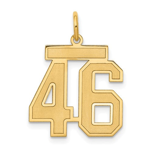 14k Medium Satin Number 46 Charm