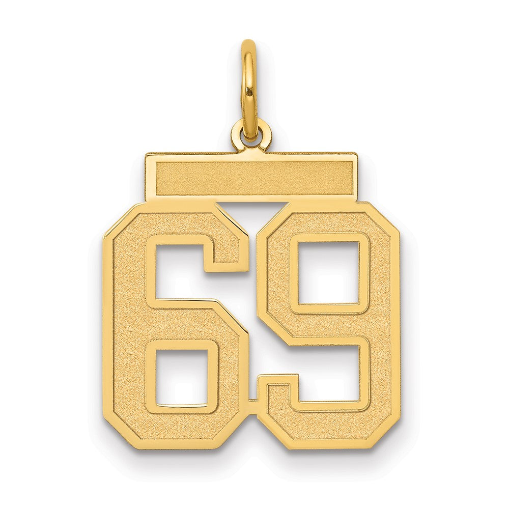 14k Medium Satin Number 69 Charm