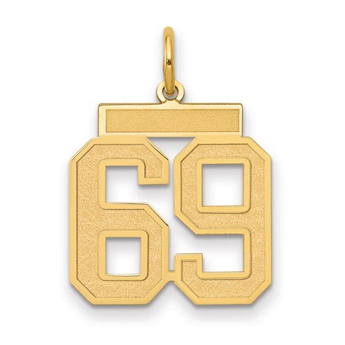 14k Medium Satin Number 69 Charm