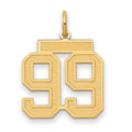 10k Medium Satin Number 99 Charm