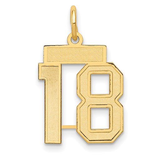 14k Small Satin Number 18 Charm