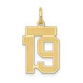 10k Small Satin Number 19 Charm