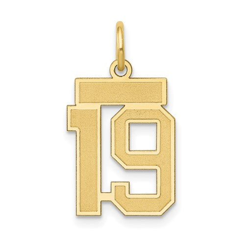 10k Small Satin Number 19 Charm