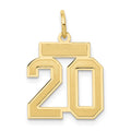 10k Small Satin Number 20 Charm