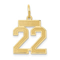 10k Small Satin Number 22 Charm