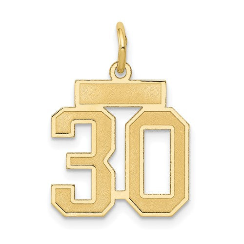 10k Small Satin Number 30 Charm