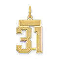 14k Small Satin Number 31 Charm