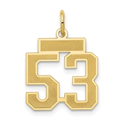 14k Small Satin Number 53 Charm