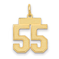 10k Small Satin Number 55 Charm