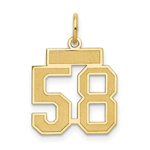 10k Small Satin Number 58 Charm