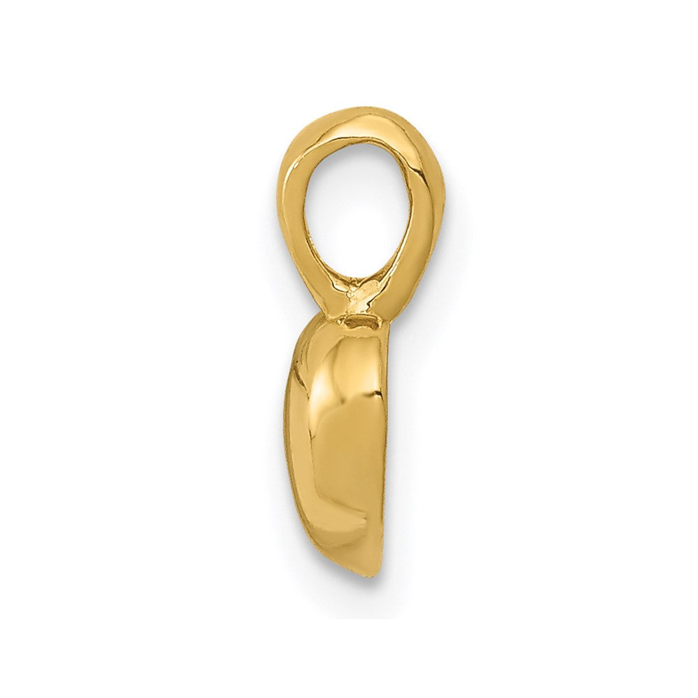 14K Polished Domed Heart Charm