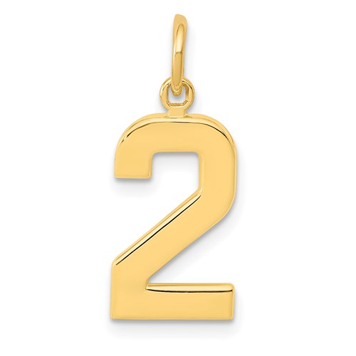 14k Medium Polished Number 2 Charm