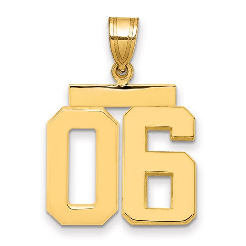 10k Medium Polished Number 06 Charm