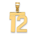 10k Medium Polished Number 12 Charm
