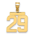 10k Medium Polished Number 29 Charm