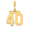10k Medium Polished Number 40 Charm
