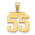 14k Medium Polished Number 55 Charm