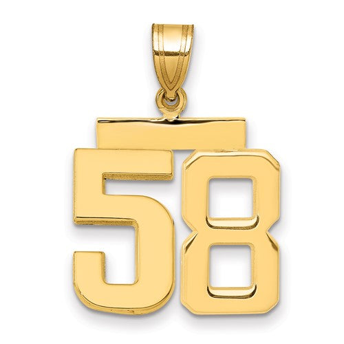 14k Medium Polished Number 58 Charm