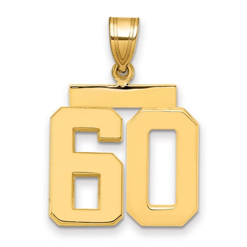 10k Medium Polished Number 60 Charm