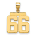 10k Medium Polished Number 66 Charm