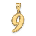 14k Brushed Border Script Number 9 Pendant