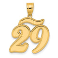 14k Brushed Border Script Number 29 Pendant