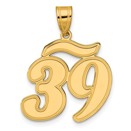 14k Brushed Border Script Number 39 Pendant