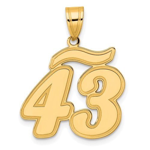 14k Brushed Border Script Number 43 Pendant