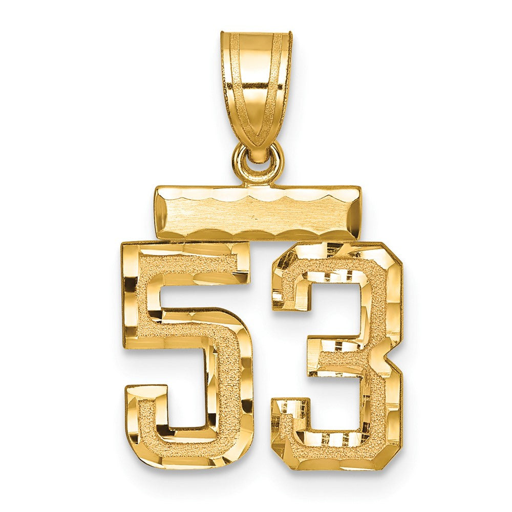 14k Small Brushed Diamond-cut Number 53 Charm