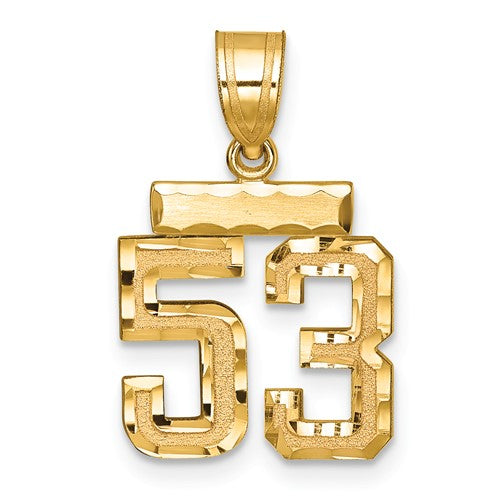 14k Small Brushed Diamond-cut Number 53 Charm