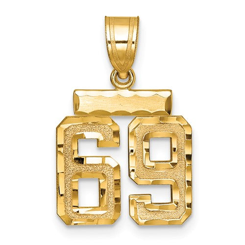 14k Small Brushed Diamond-cut Number 69 Charm