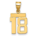 10k Small Polished Number 18 Charm