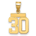 10k Small Polished Number 30 Charm
