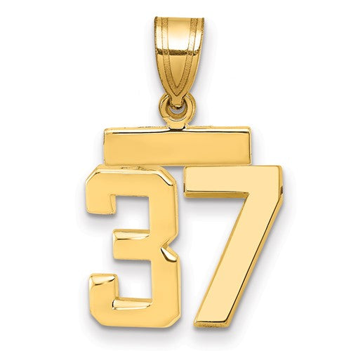 14k Small Polished Number 37 Charm