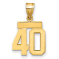 10k Small Polished Number 40 Charm