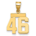 10k Small Polished Number 46 Charm