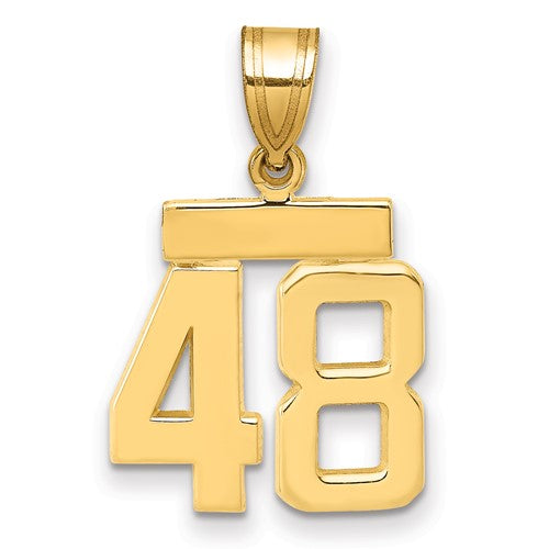 14k Small Polished Number 48 Charm