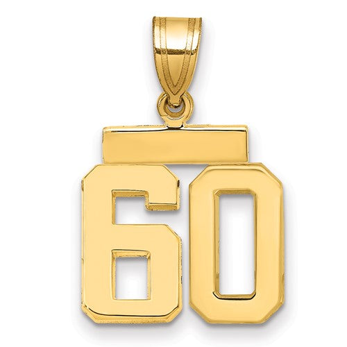 10k Small Polished Number 60 Charm