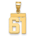 10k Small Polished Number 61 Charm