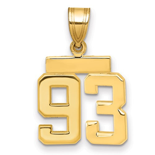 14k Small Polished Number 93 Charm