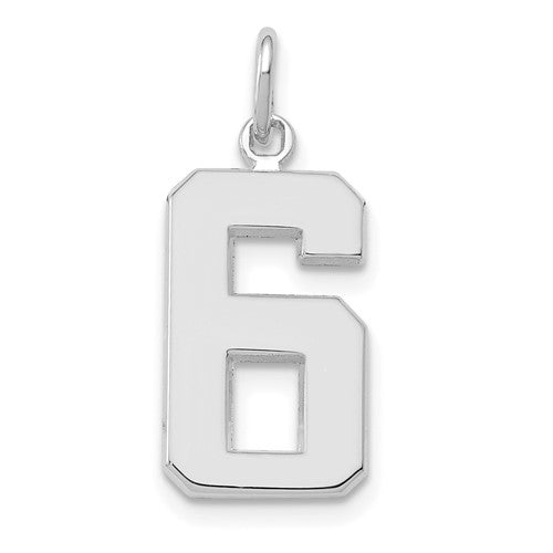 14kw Medium Polished Number 6 Charm
